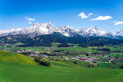 Green Grass Field Near the Snow Covered Mountains