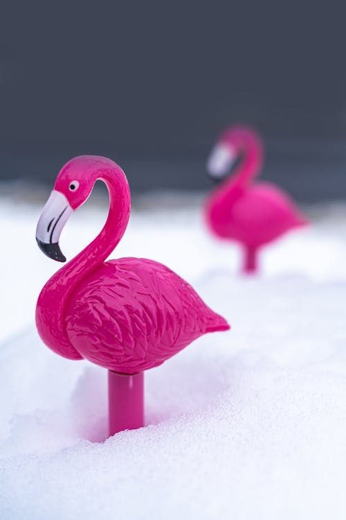 Free Pink Flamingo Toy on the Snow Stock Photo