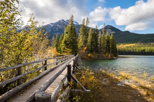 Wooden Footbridge in Mountains 