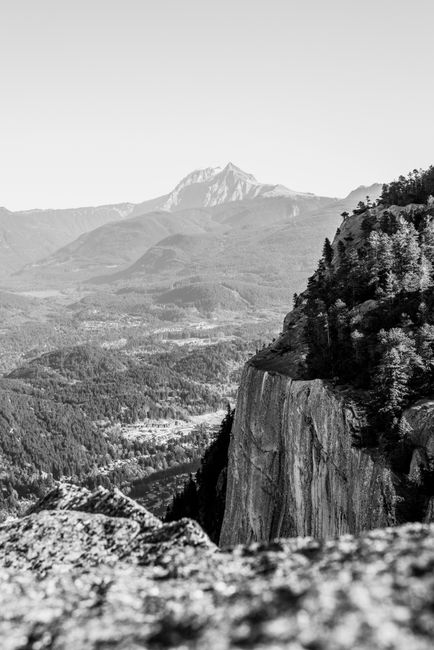 Scenic mountain landscape in black and white showcasing a forested valley and distant peak.