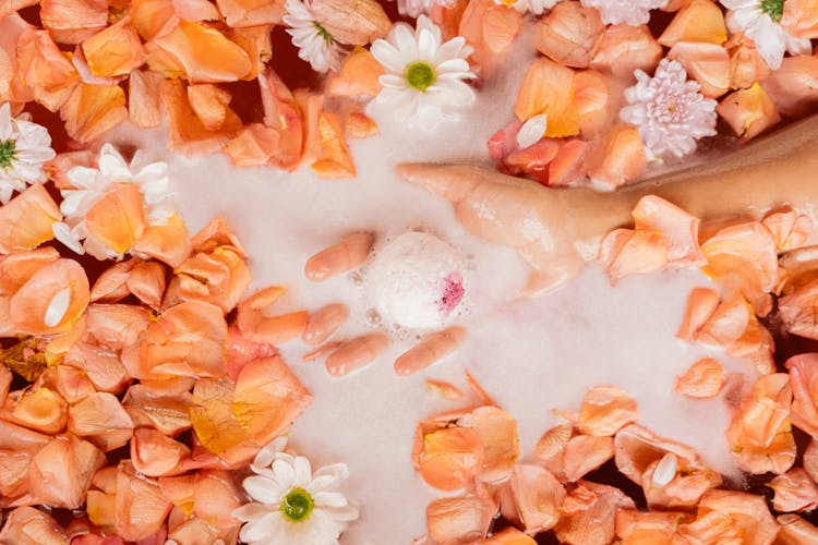 A Person Holding A Bath Bomb In The Water 