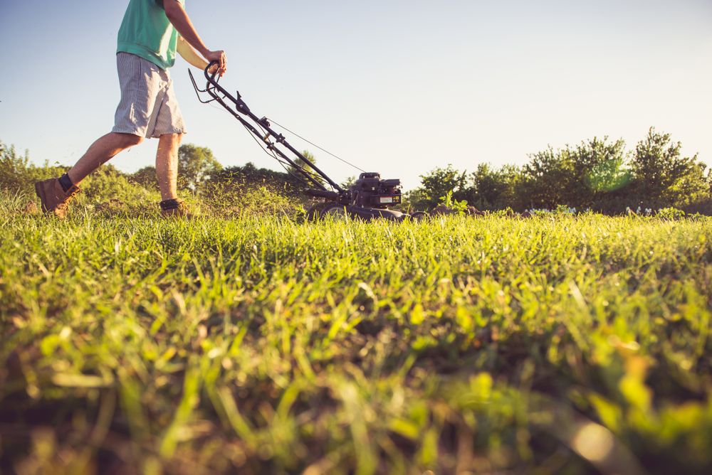 Landscaping Workers