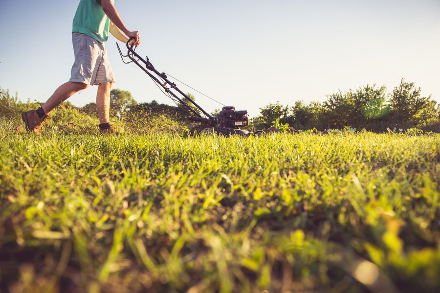 Landscaping Workers
