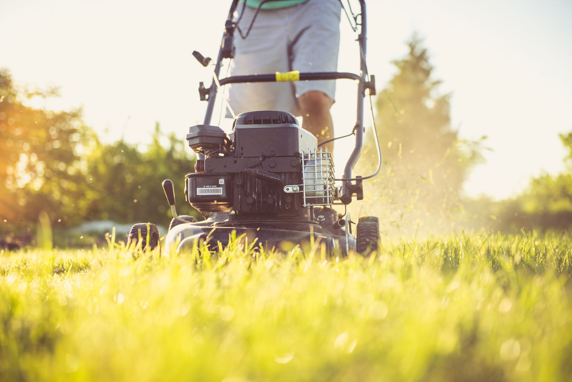 Egels beschermen tegen robotmaaiers