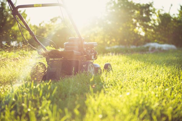 Landscaping Workers