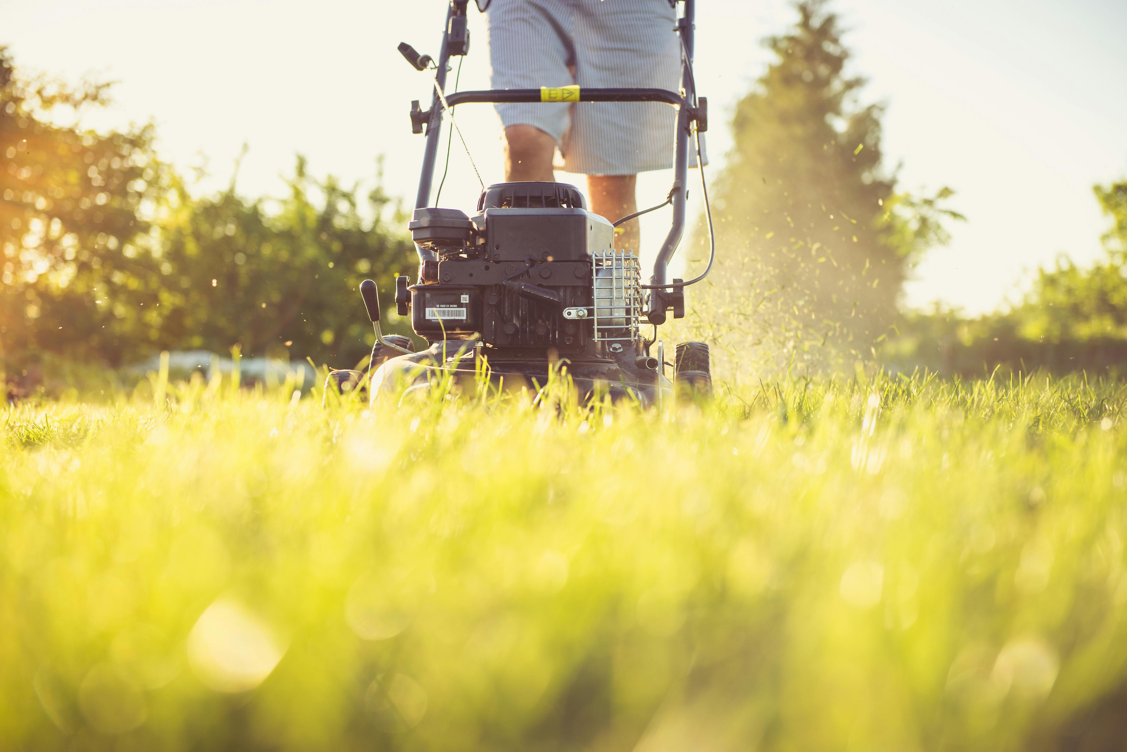 Close-up of a person mowing the lawn with a gas lawn mower on a sunny summer day.