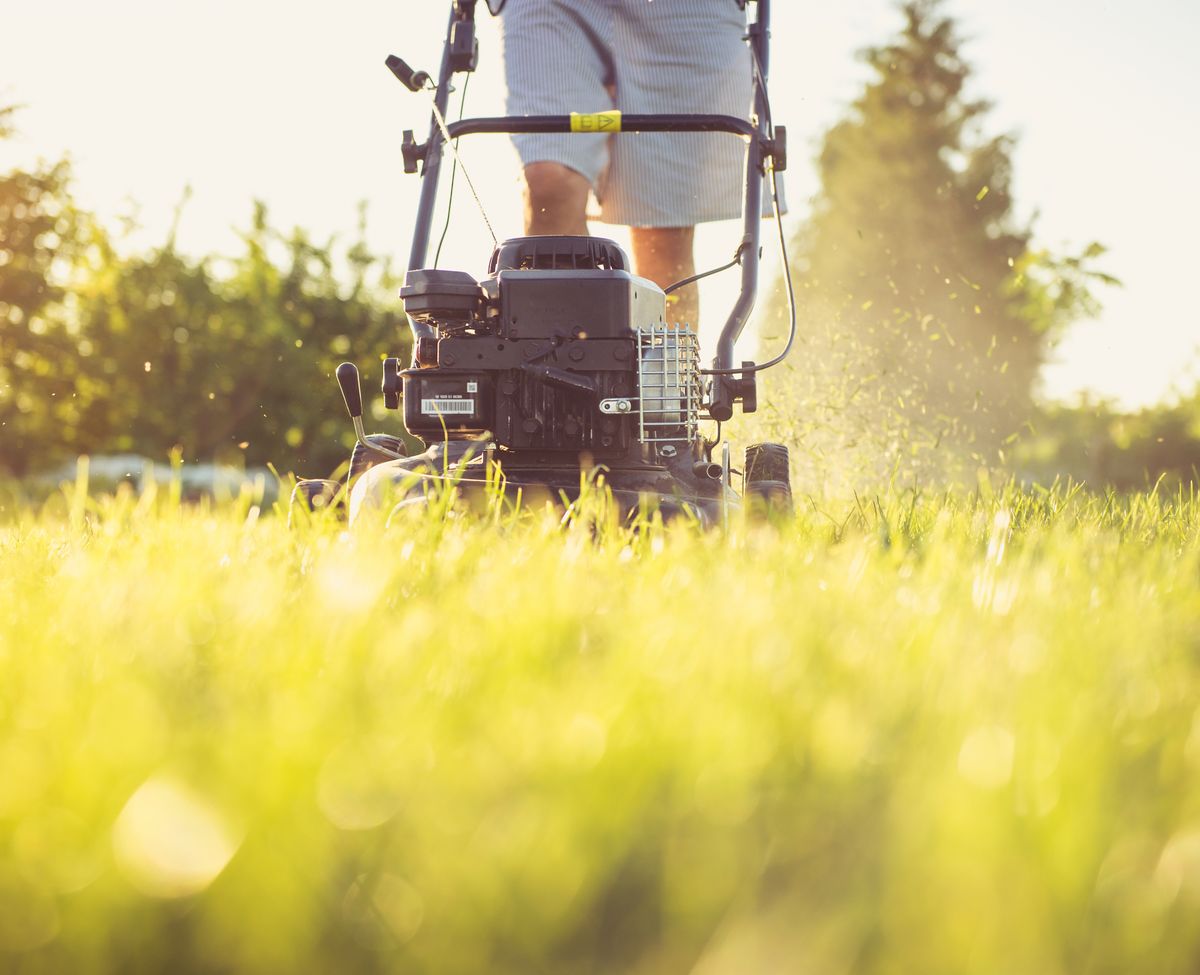 Beautiful Lawn