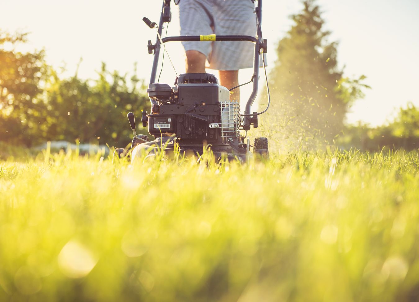 Lawn Warriors LLC