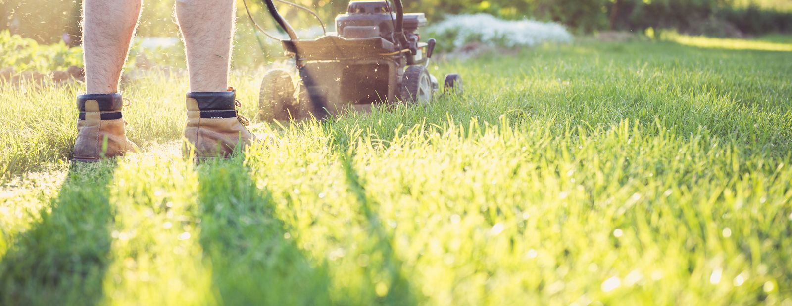 Person mowing a green lawn