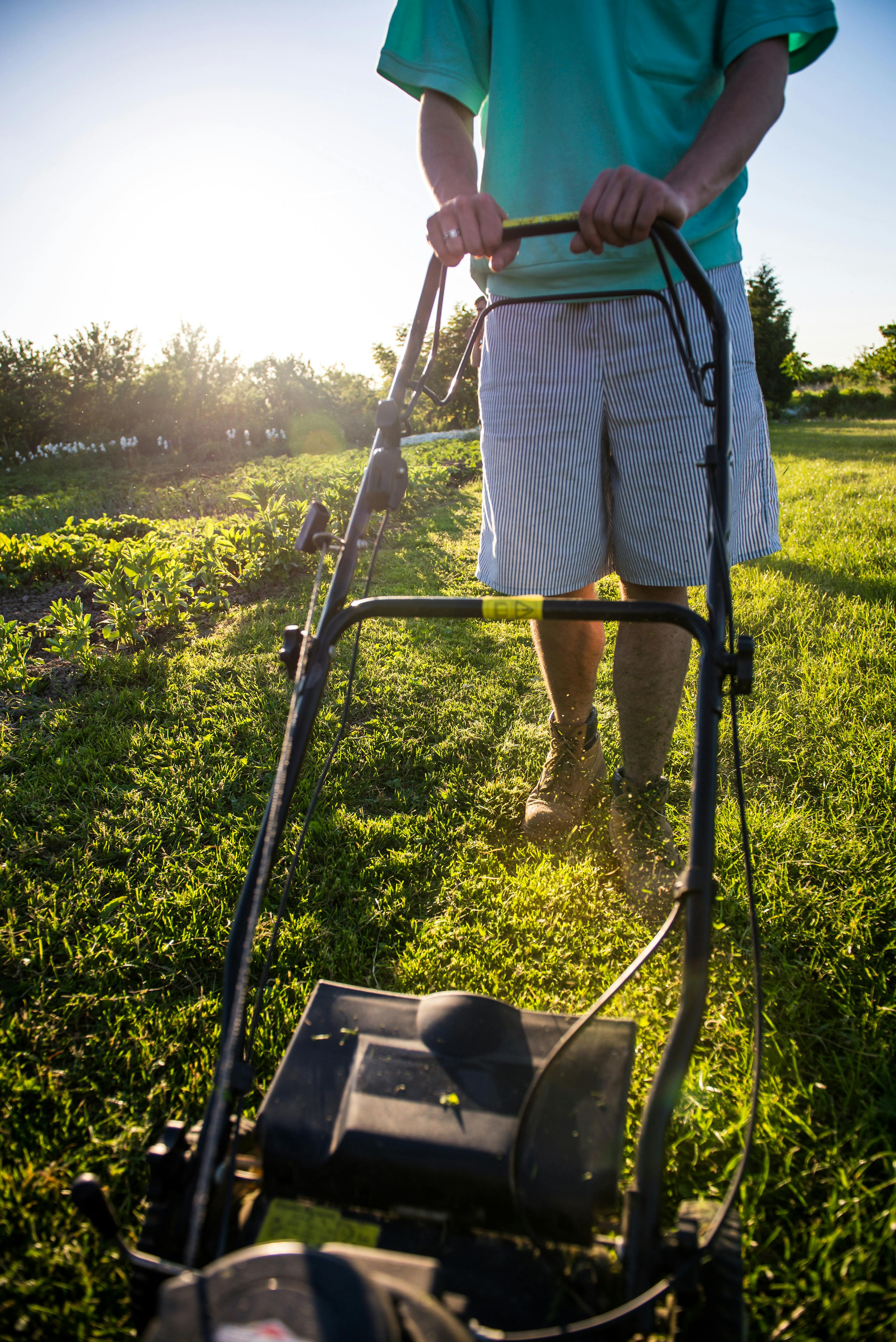 Is it OK to store lawn mower in shed?