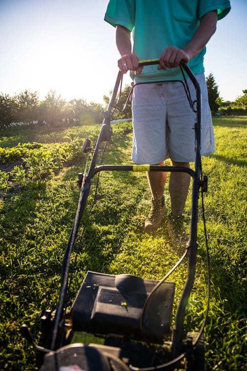 A Person Mowing the Lawn