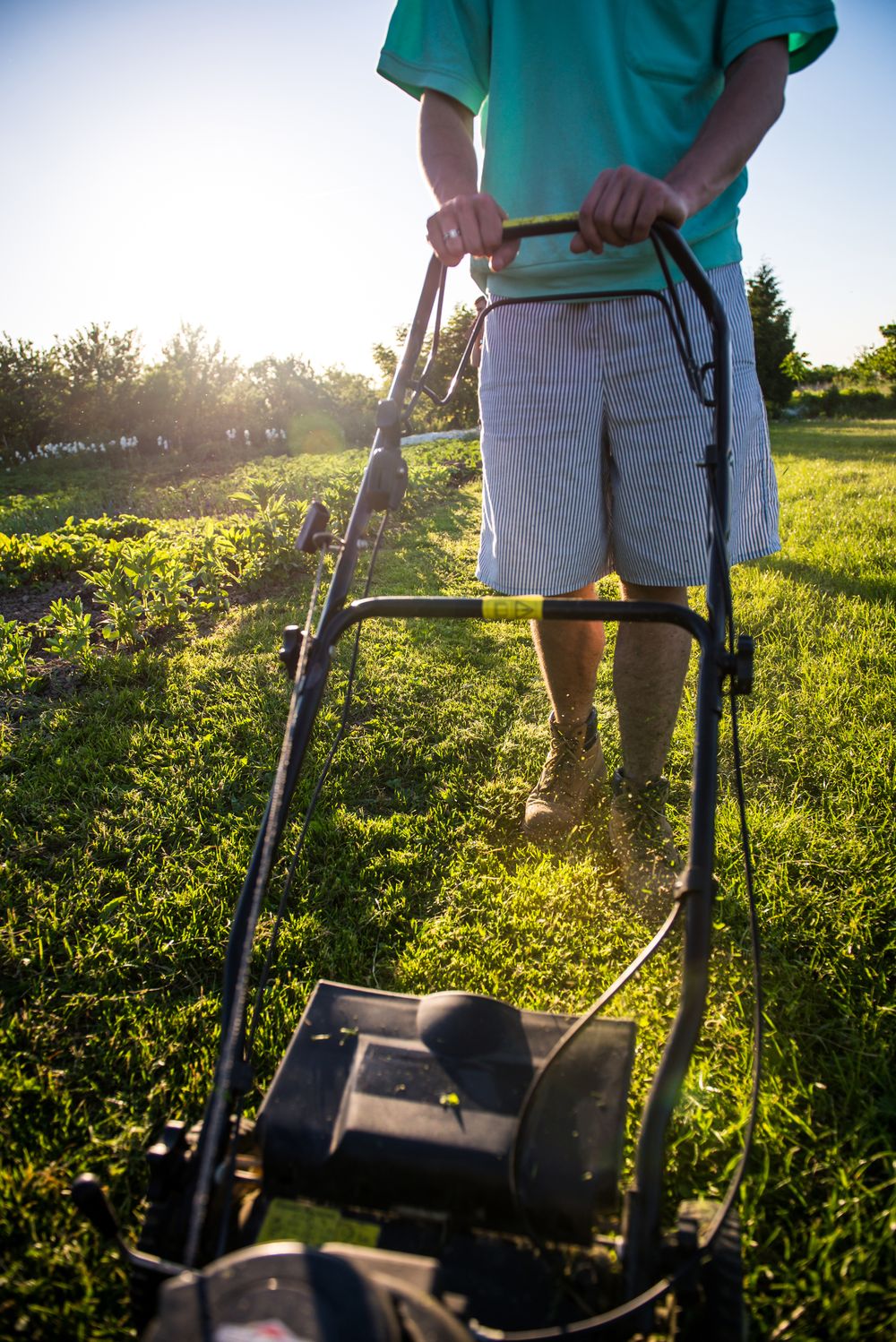 Man mowing a lawn with a push mower on a sunny day