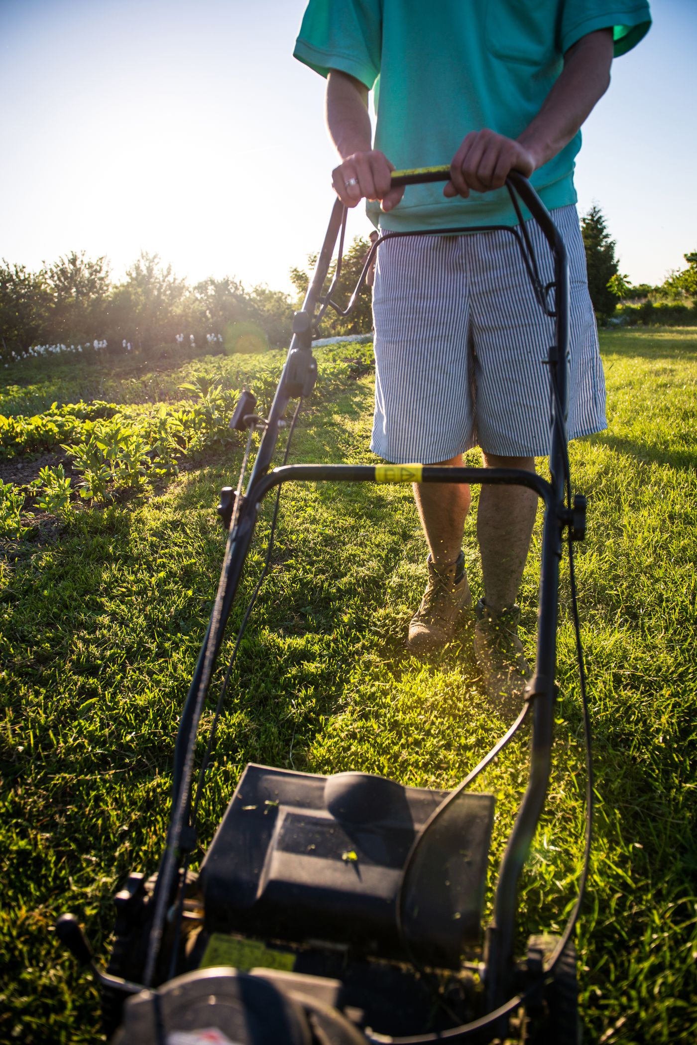 Outdoor and home businesses