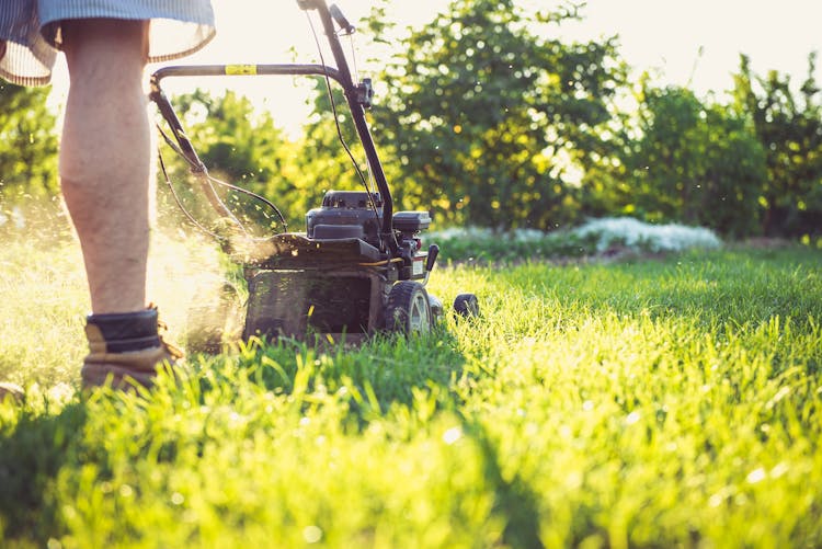 Man Mowing Lawn 