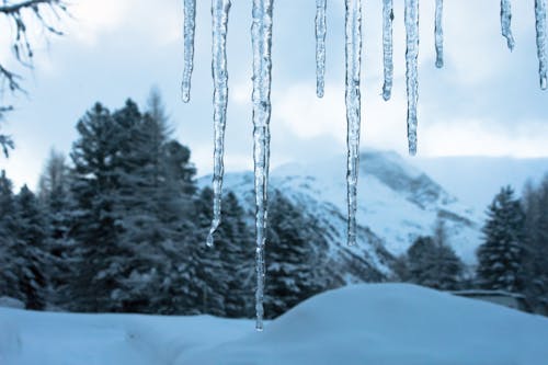 Foto profissional grátis de branco, cenário de inverno, com frio