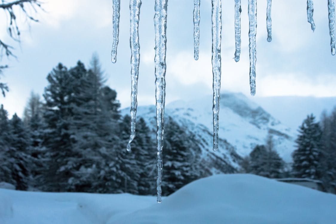 冬天的背景, 冬季, 冬季仙境 的 免费素材图片