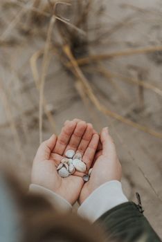 Close-up of hands holding sea shells on a serene sandy beach in Jūrmala, Latvia.