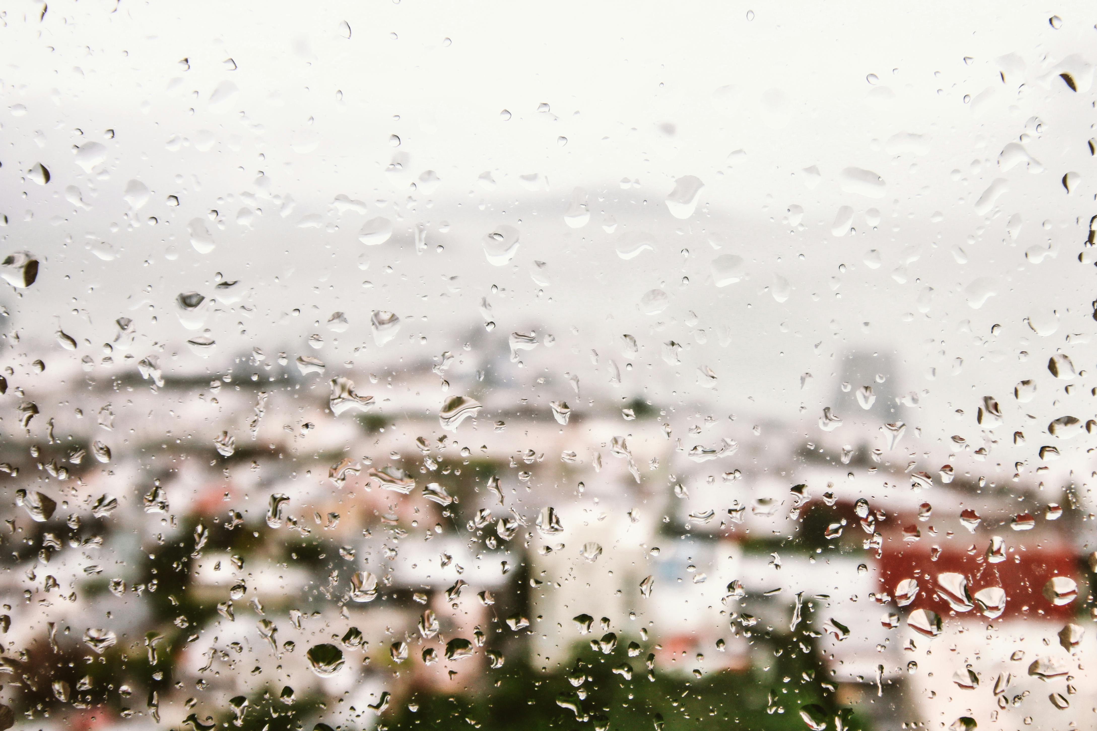 窓に雨が降る 無料の写真素材
