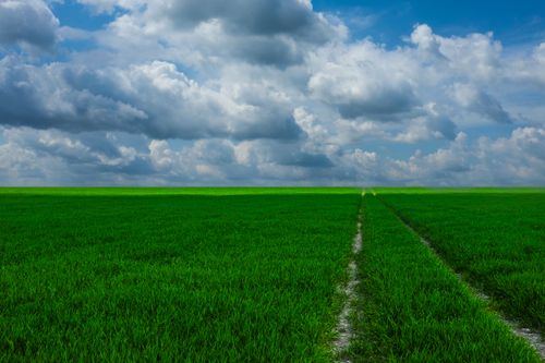 Free Expansive green field with dramatic clouds creating a serene landscape under a blue sky. Stock Photo