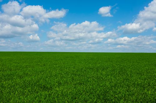 Free Expansive green field with vibrant grass under a bright blue sky and fluffy clouds. Stock Photo