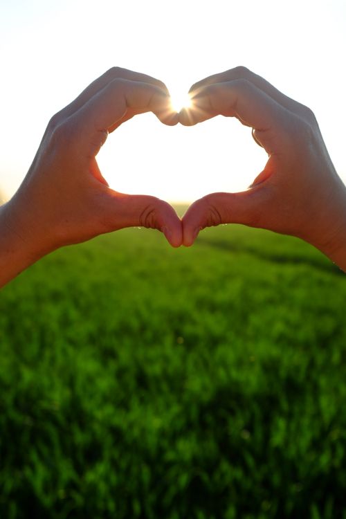 Free Hands creating a heart shape against a bright sunbeam over a green field. Stock Photo