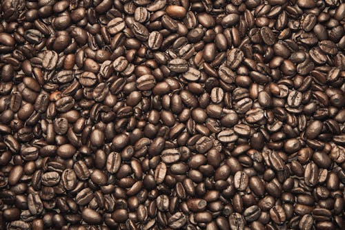 Brown Coffee Beans in Close Up Photography · Free Stock Photo
