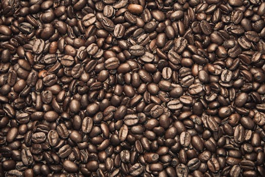 A detailed view of roasted coffee beans, showcasing their rich texture and dark brown color.
