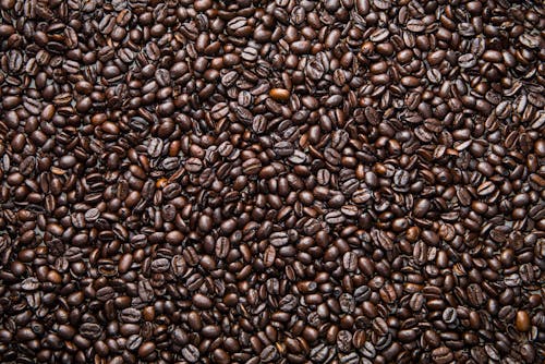 Close-up Photo of Coffee Beans 