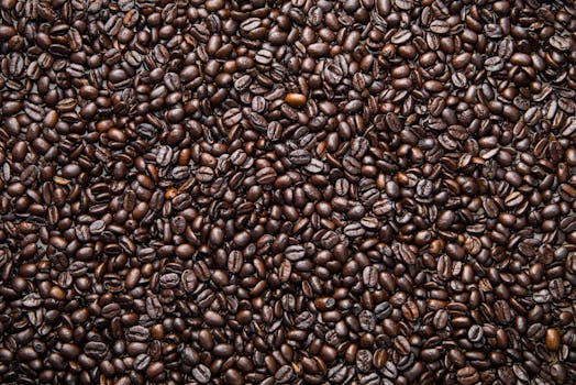 High quality close-up of roasted coffee beans with rich aroma.