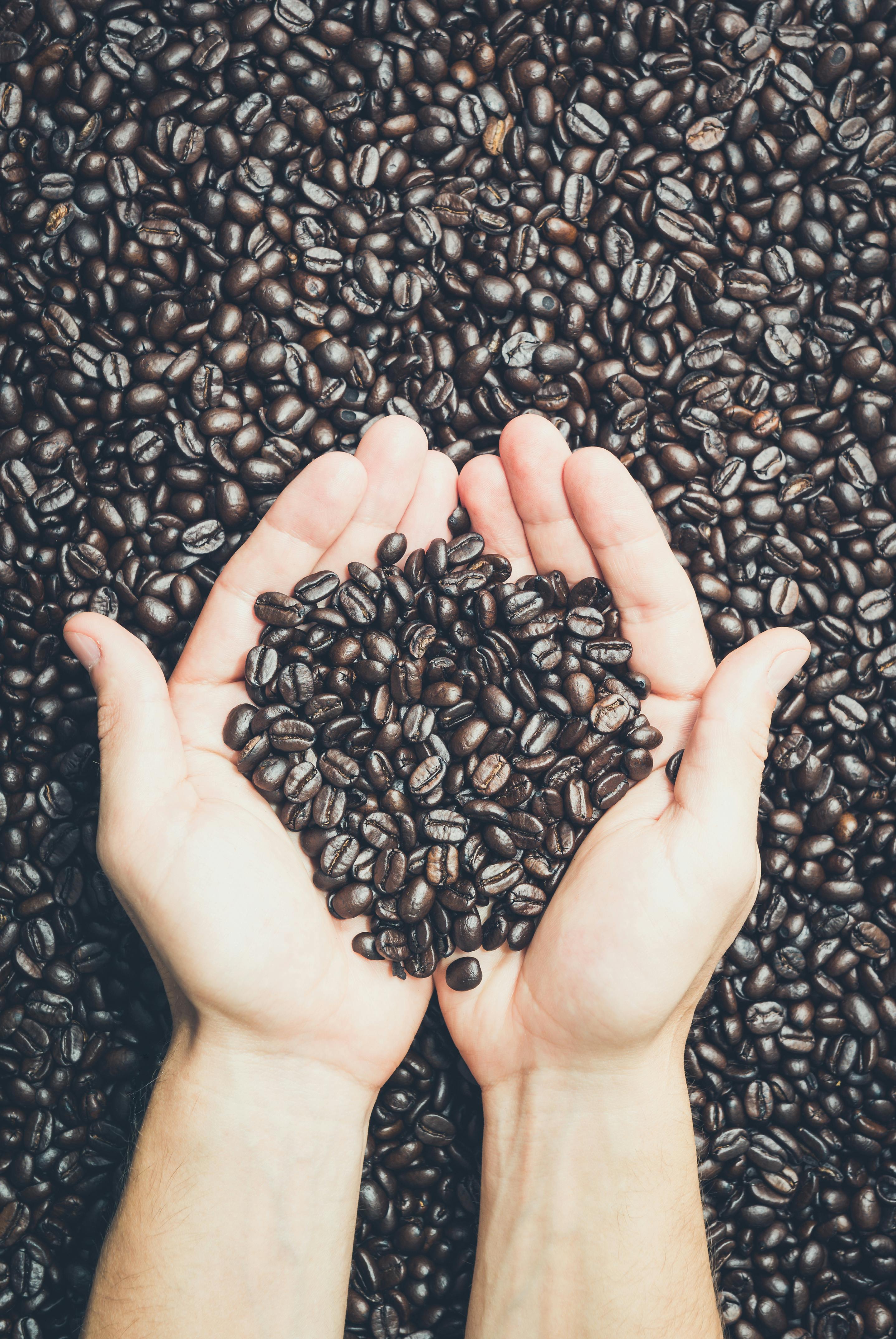 Sumatra Mandheling coffee beans
