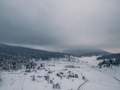 An Aerial Photography of a Snow Covered Ground with Trees Under the Cloudy Sky