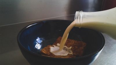 Whey Protein Concentrate 80%