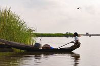 African woman paddles a canoe through a serene lake in Ganvié, Benin, surrounded by tall grass and wildlife.