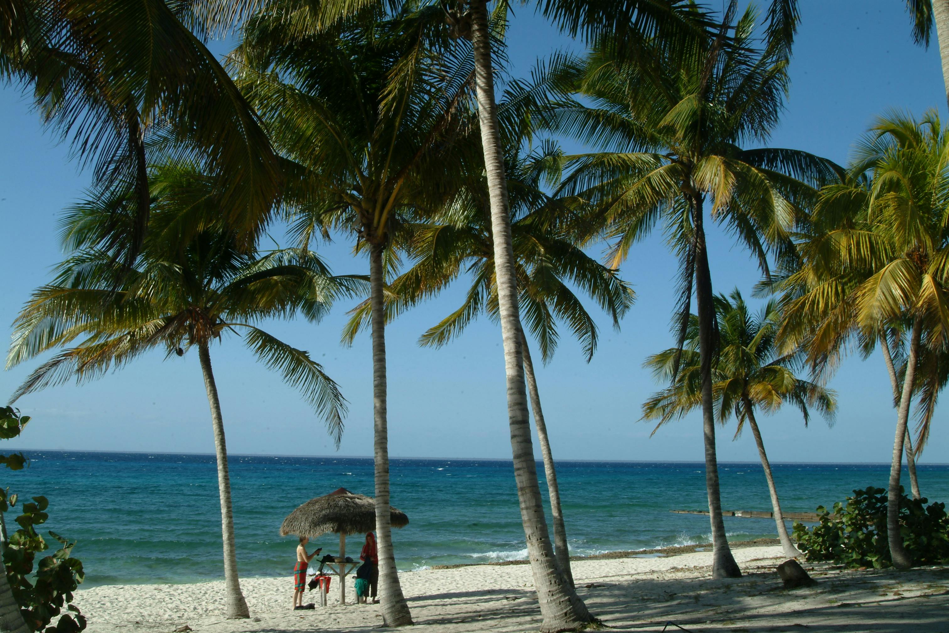 Free stock photo of cuba, playa