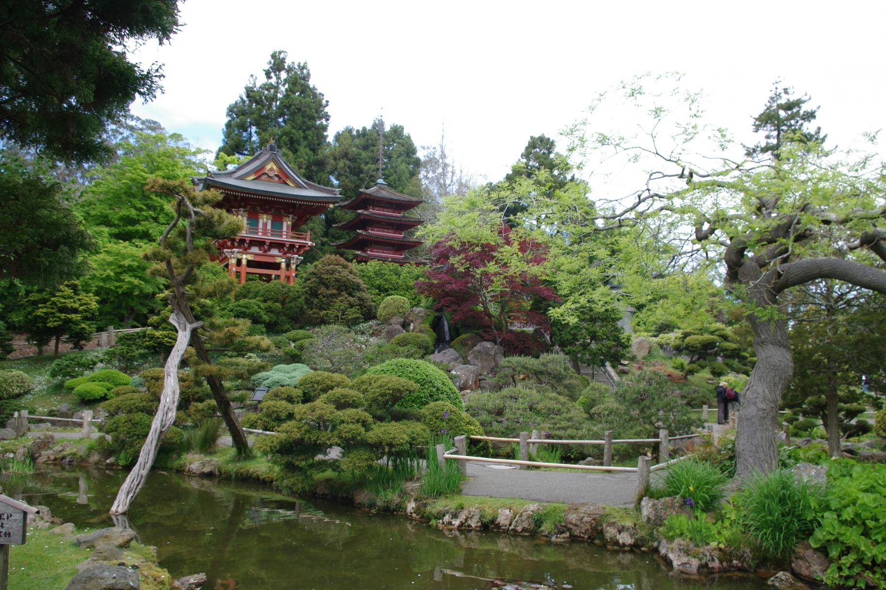 Free stock photo from Jason · Pexels