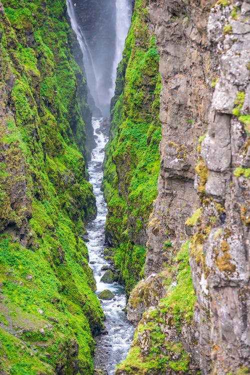 Foto profissional grátis de abismo, ao ar livre, cachoeiras