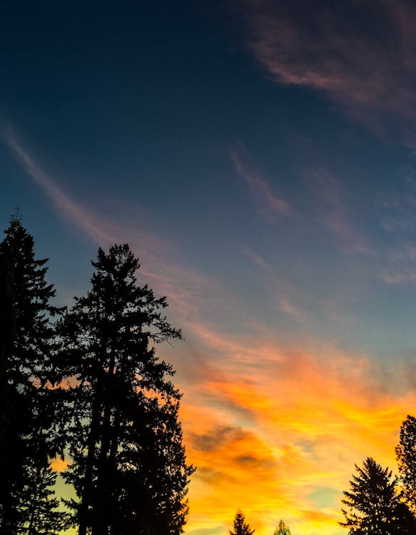 Free stock photo of colors, oregon, sunrise