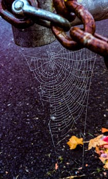 特写镜头中，一条生锈的链条悬挂在人行道背景上，上面结着一张精致的蜘蛛网