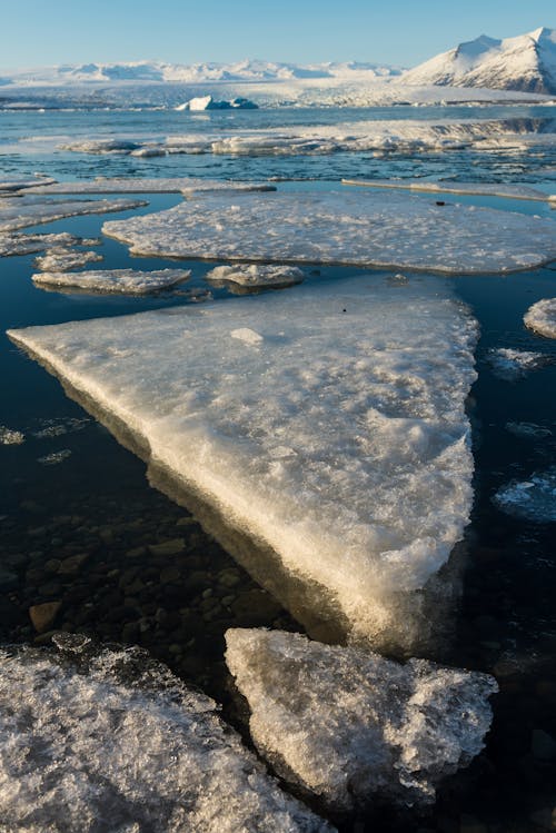 Ice Sheet in a Bay 