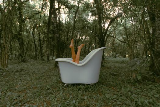 Image by Rafaela  Lima