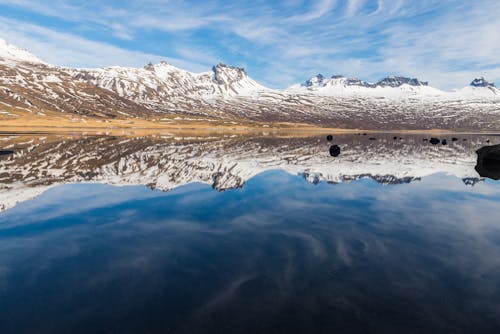 Immagine gratuita di freddo, lago, lakeshore