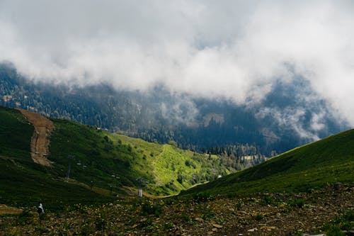 Ingyenes stockfotó felhők, hegyi erdő, környezet témában