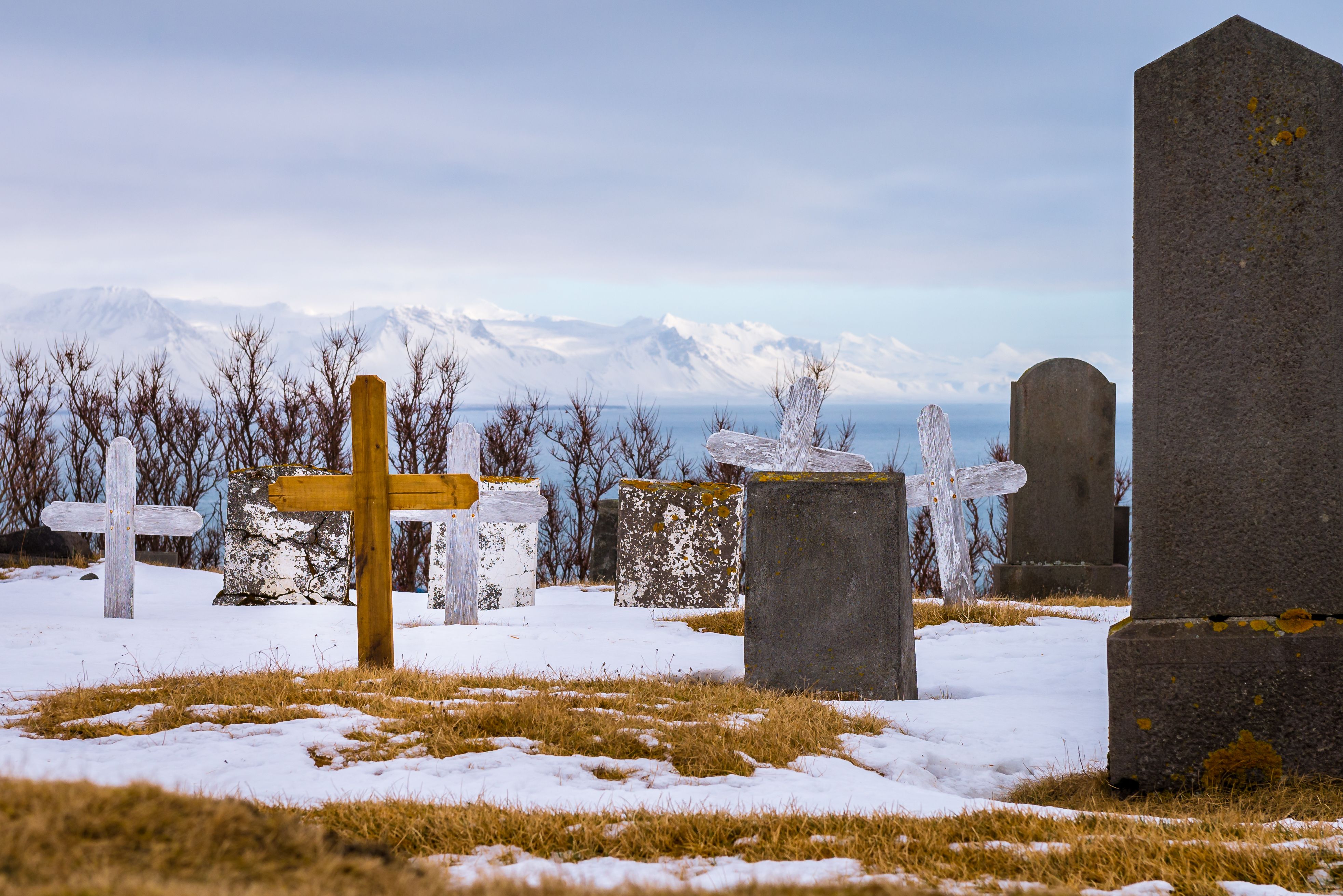 A Snow Covered Cemetery · Free Stock Photo