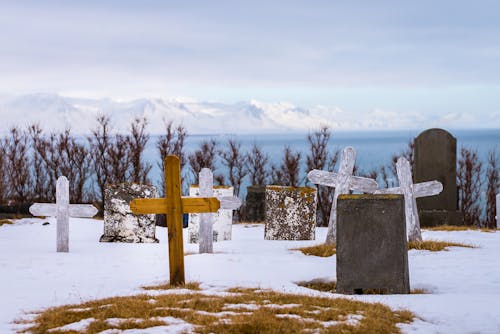 Kostenloses Stock Foto zu einfrieren, friedhof, hölzern