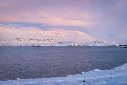 寒い - 気温, 日没, 極地気候の無料の写真素材
