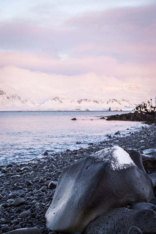 Free Serene winter beach scene with snow-dusted rocks and pastel skies by the sea. Stock Photo