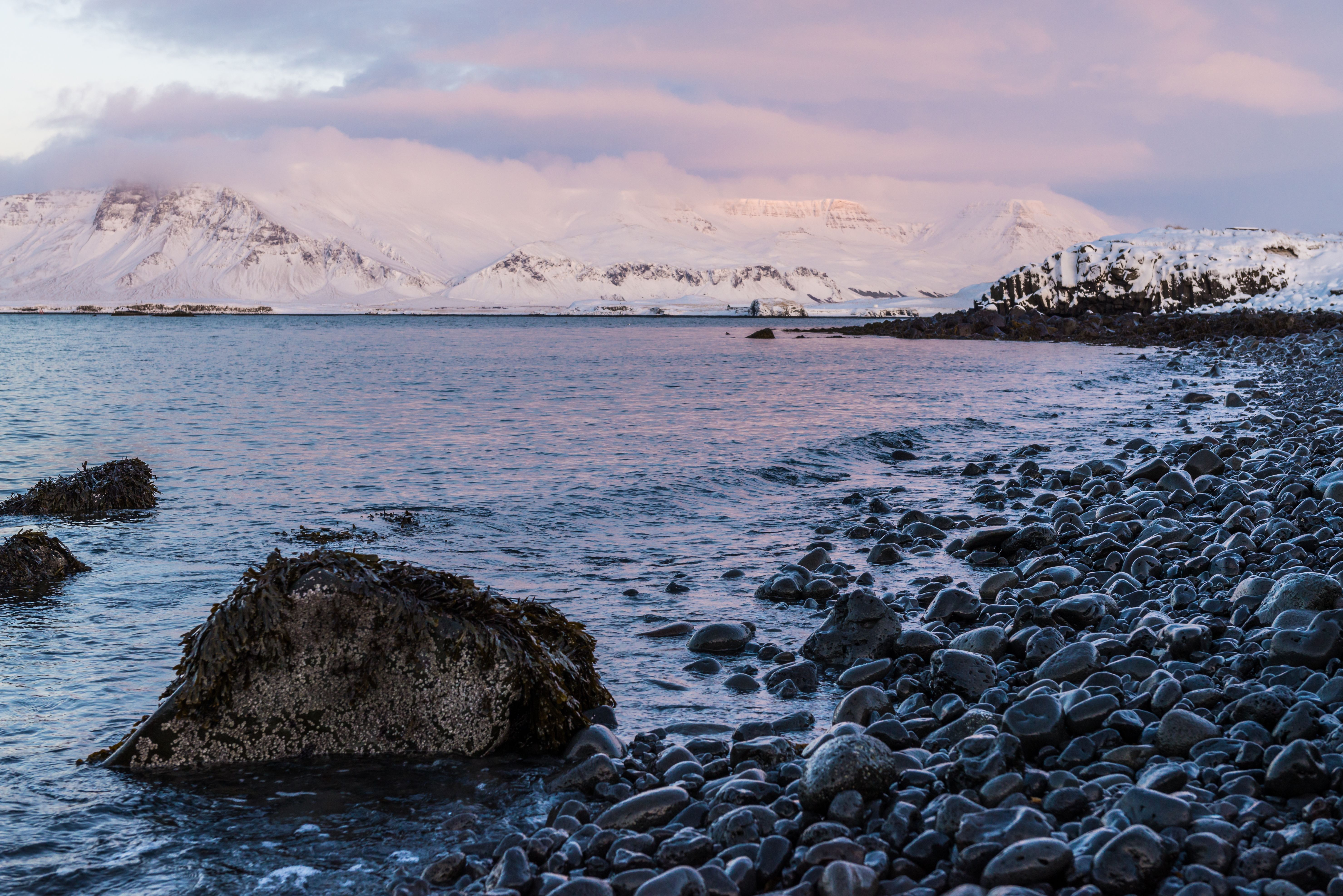 View of a Sea in Winter · Free Stock Photo