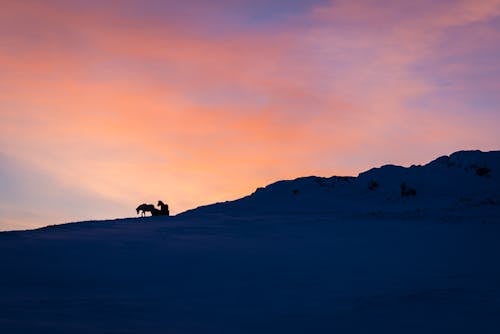 ゴールデンアワー, シルエット, 山の無料の写真素材