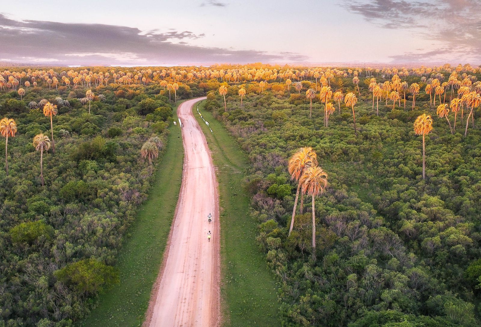 Gran Chaco boliviano desde Camiri, Santa Cruz — bosque seco y pórtico al parque Kaa-Iya