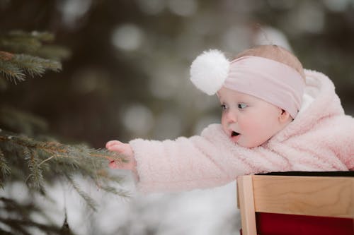 Curious Baby Touching Branch of Coniferous Tree